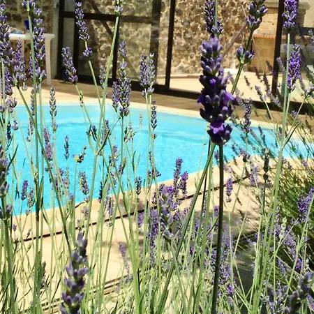 Charmant Marseillan: Cozy With Shared Pool Marseillan (Herault)